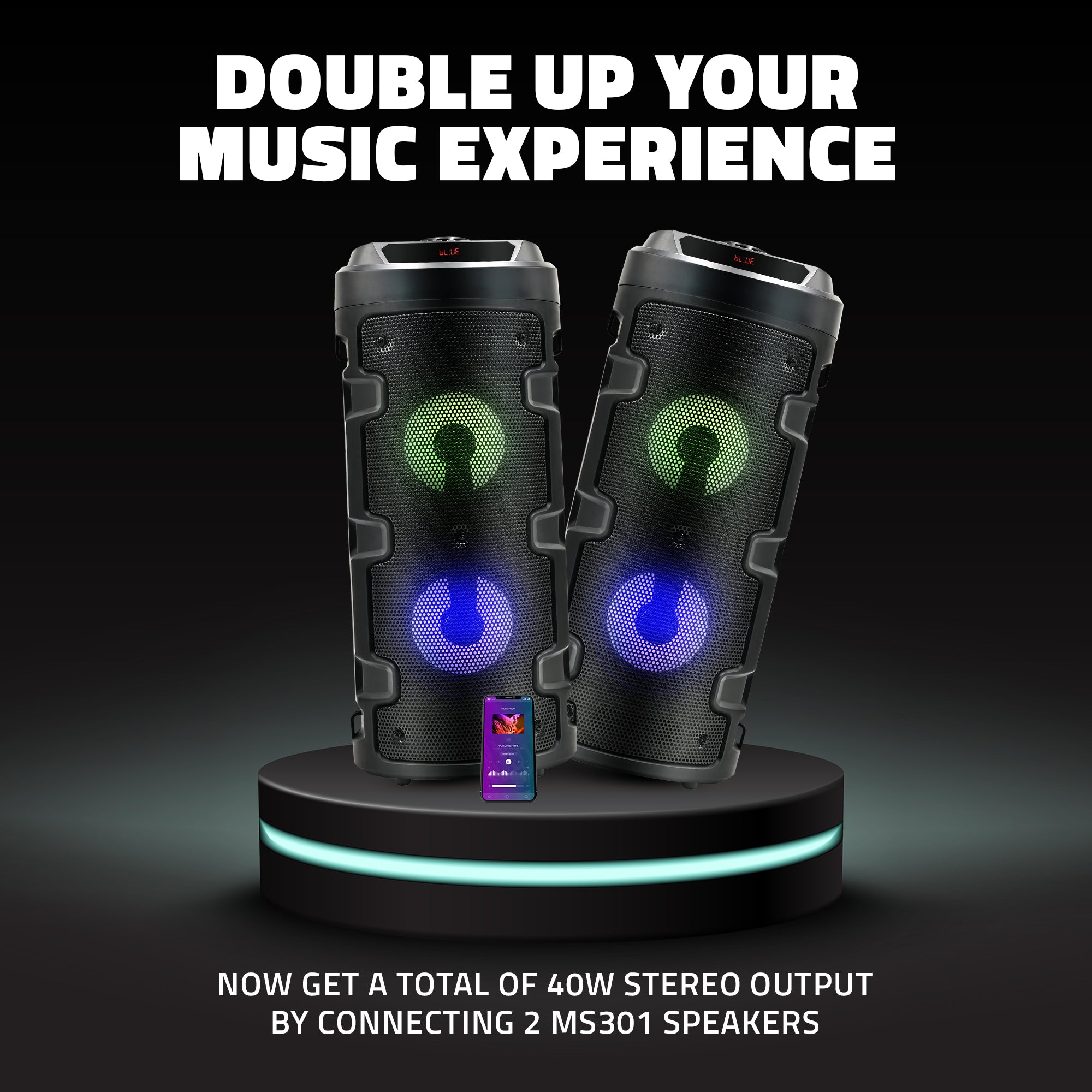 MS301 Bluetooth Party Speaker